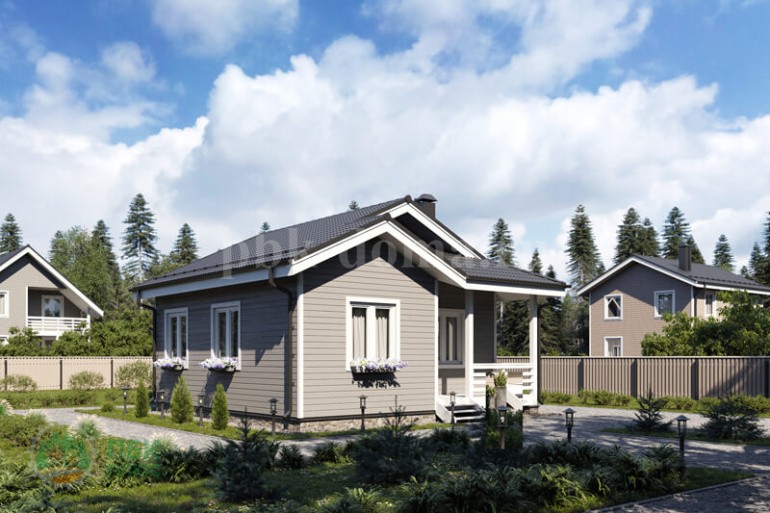 Каркасный одноэтажный дачный дом «Вилюй» 8х8